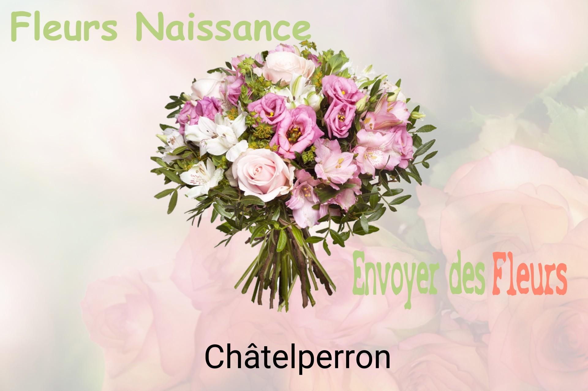 Bouquet de fleurs de naissance livré à Châtelperron