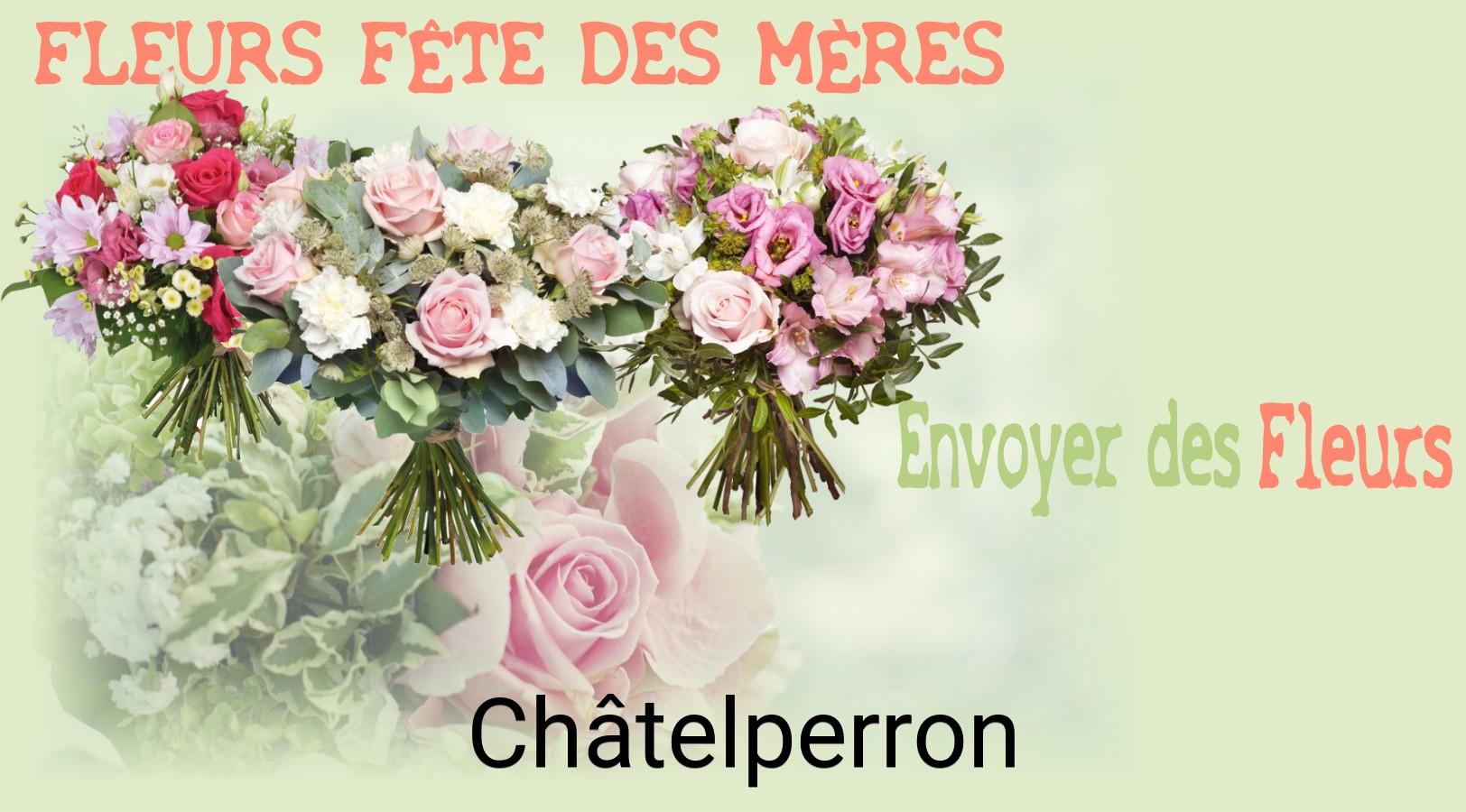 Bouquet de Fête des Mères livré à Châtelperron